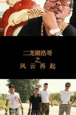 二龙湖浩哥之风云再起[电影解说]-电影封面