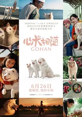 心犬相随[电影解说]-电影封面