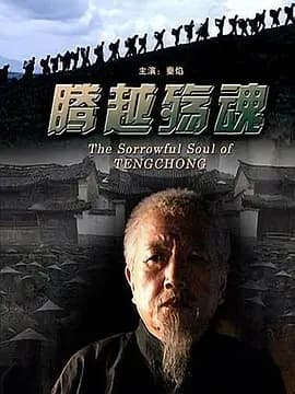 腾越殇魂[电影解说]-电影封面