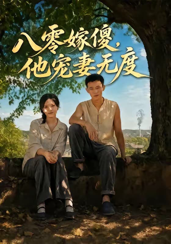八零嫁傻,他宠妻无度