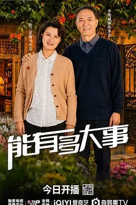 能有多大事-剧集封面