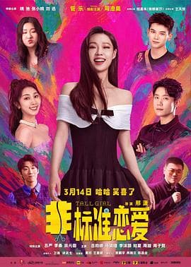 非标准恋爱-电影封面