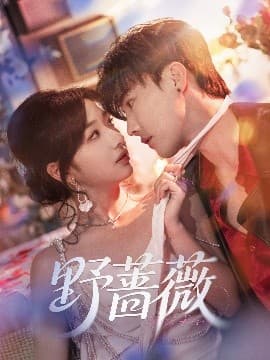野蔷薇-影视封面