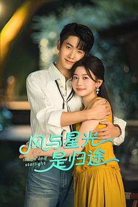 风与星光是归途-剧集封面