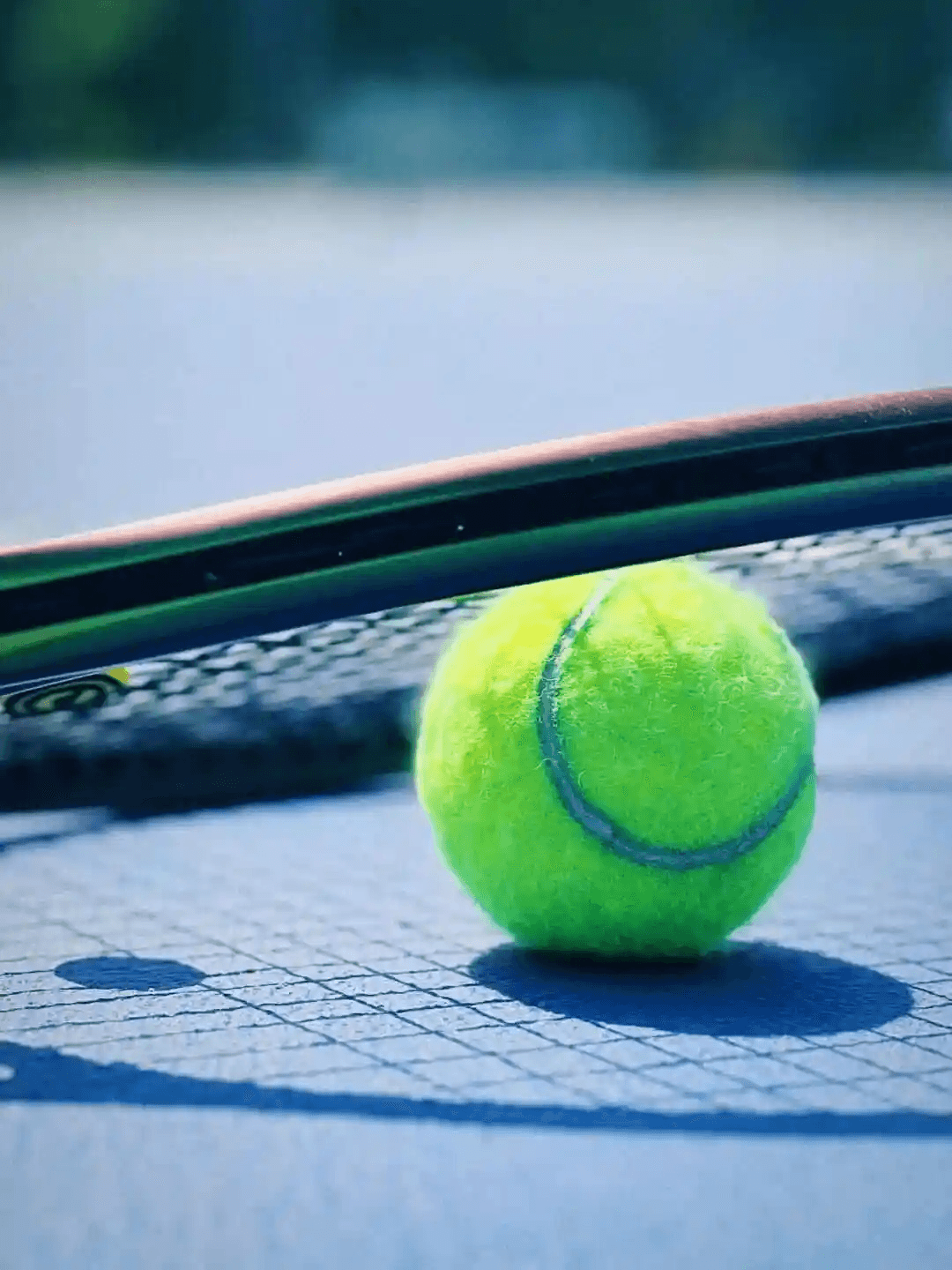 WTA柏林站四分之一决赛：萨巴伦卡VS巴图科娃-综艺封面