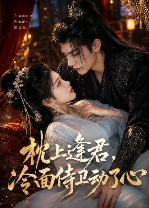 枕上逢君，冷面侍卫动了心