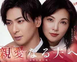 致亲爱的丈夫~完美妻子的谎言~-剧集封面