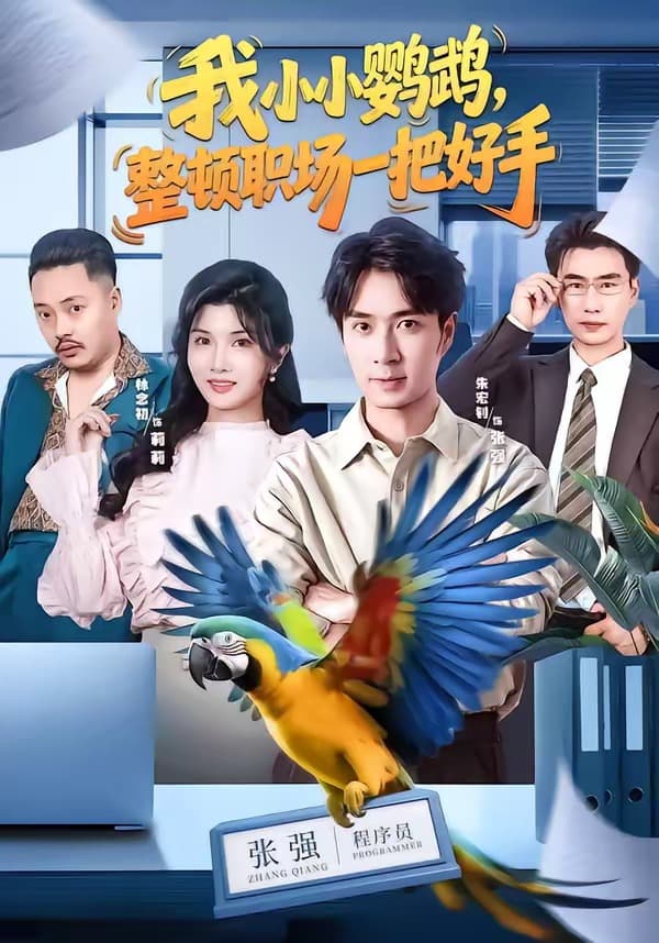 我小小鹦鹉，整顿职场一把好手