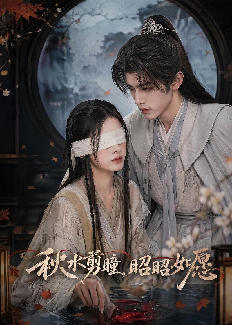 秋水剪瞳，昭昭如愿