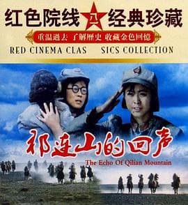 祁连山的回声-电影封面