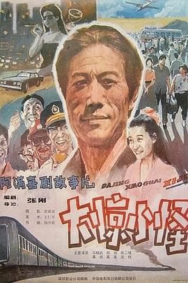 大惊小怪-电影封面